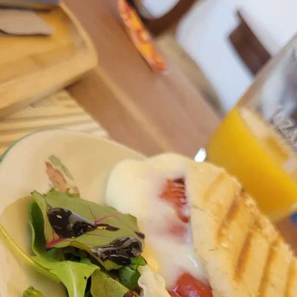 Leckeres Panino mit Tomate und schmelzend-leckerem Mozzarella an Beilagensalat